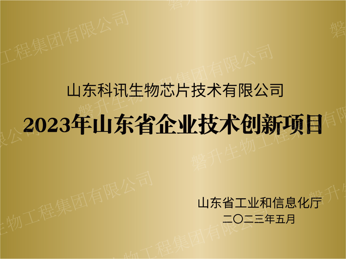 2023年山東省企業(yè)技術(shù)創(chuàng)新項(xiàng)目