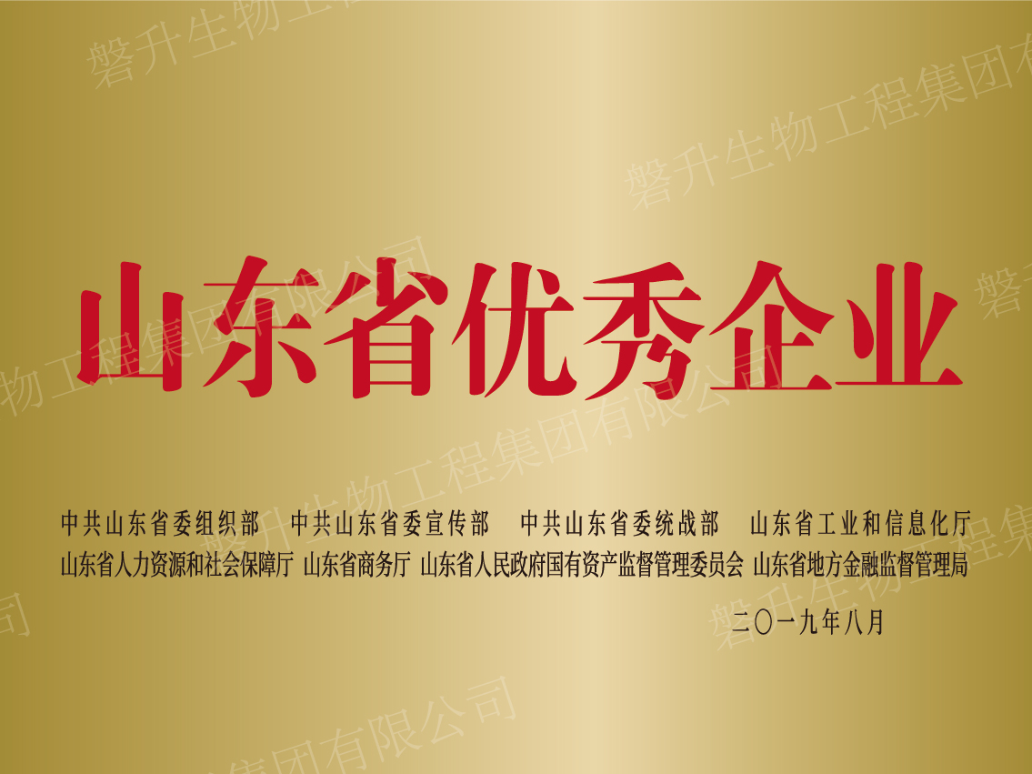 山東省優(yōu)秀企業(yè)