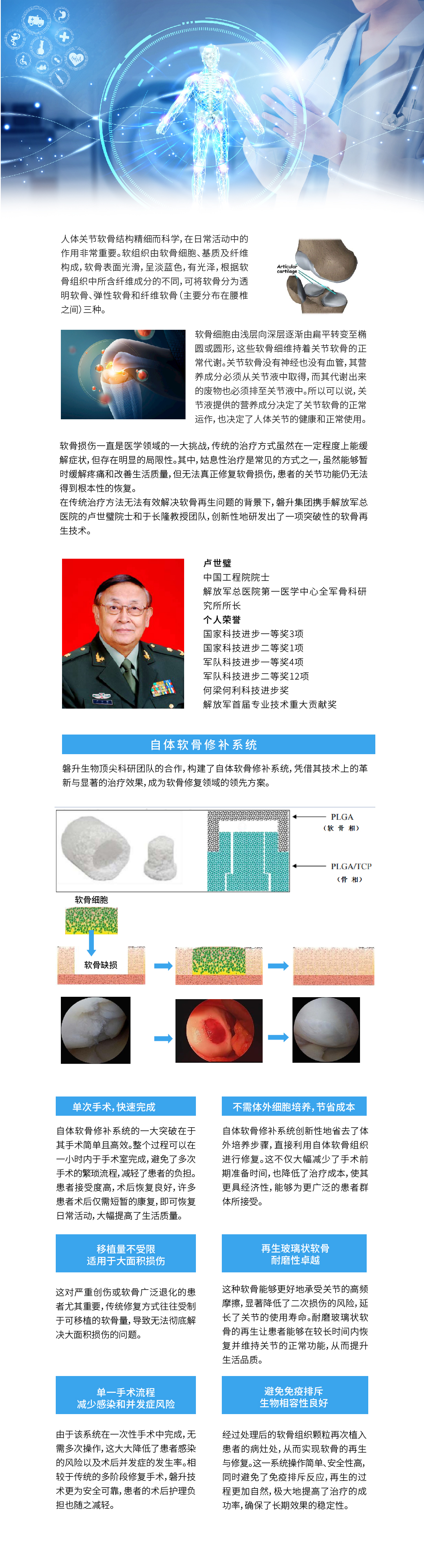 軟骨再生.jpg